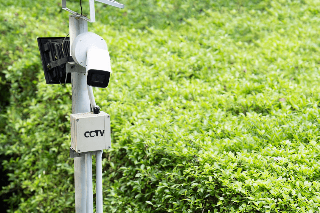 Step 2: Weather-Resistant Camera Deployment and Connectivity